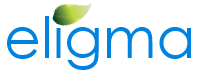 ELIGMA - Power Engineering and Consulting Services